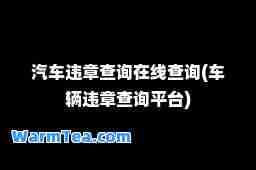 汽车违章查询在线查询(车辆违章查询平台)