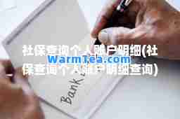 社保查询个人账户明细(社保查询个人账户明细查询)