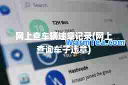 网上查车辆违章记录(网上查询车子违章)