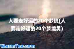 人要走好运的20个梦境(人要走好运的20个梦境男)