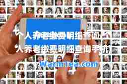 个人养老缴费明细查询(个人养老缴费明细查询手机)