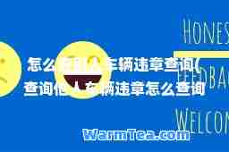 怎么查别人车辆违章查询(查询他人车辆违章怎么查询)