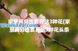 家里再穷也要养这3种花(家里再穷也要养这3种花头条网)