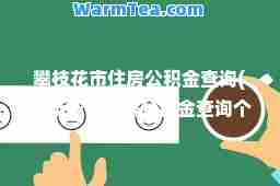攀枝花市住房公积金查询(攀枝花市住房公积金查询个人账户查询)