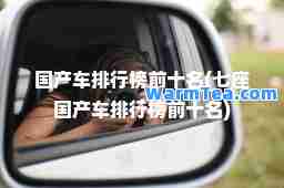 国产车排行榜前十名(七座国产车排行榜前十名)