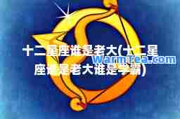 十二星座谁是老大(十二星座谁是老大谁是学霸)
