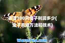 养殖100只兔子利润多少(兔子养殖方法和技术)