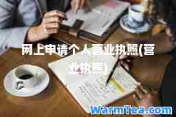 网上申请个人营业执照(营业执照)