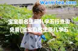 宝宝取名生辰八字五行查询免费(宝宝取名生辰八字五行查询免费女孩)