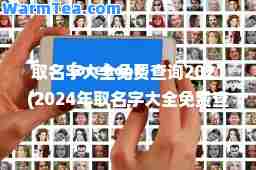取名字大全免费查询2021(2024年取名字大全免费查询)