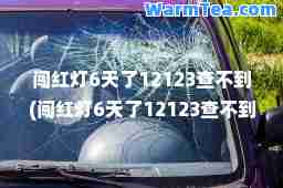 闯红灯6天了12123查不到(闯红灯6天了12123查不到怎么办)