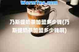 乃斯提奶茶加盟多少钱(乃斯提奶茶加盟多少钱啊)