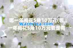 哪一年梅花5角10万元(哪一年梅花5角10万元要是有到那里卖)