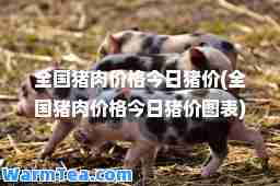 全国猪肉价格今日猪价(全国猪肉价格今日猪价图表)
