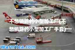 不愁销路的小型加工厂(不愁销路的小型加工厂手套)