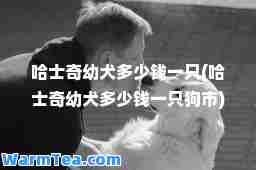 哈士奇幼犬多少钱一只(哈士奇幼犬多少钱一只狗市)