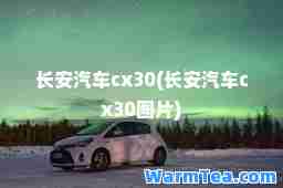 长安汽车cx30(长安汽车cx30图片)