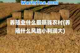 养殖业什么钱农村(养殖什么风险小利润大)