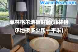 菲林格尔地板好吗(菲林格尔地板多少钱一平米)