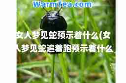 女人梦见蛇预示着什么(女人梦见蛇追着跑预示着什么)