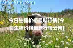 今日生猪价格行情(今日生猪价格行情云南)