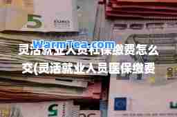 灵活就业人员社保缴费怎么交(灵活就业人员医保缴费怎么交)