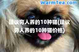 建议穷人养的10种猫(建议穷人养的10种猫价格)