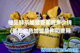 柚见鲜茶加盟费需要多少钱(茶颜悦色加盟条件和费用)
