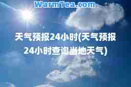 天气预报24小时(天气预报24小时查询当地天气)