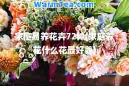 家庭易养花卉72种(家庭养花什么花最好养)