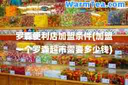 罗森便利店加盟条件(加盟一个罗森超市需要多少钱)