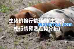 生猪价格行情预测(生猪价格行情预测走势分析)
