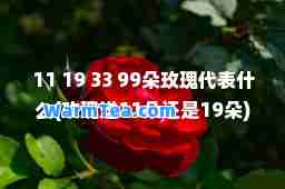 11 19 33 99朵玫瑰代表什么(玫瑰送11朵还是19朵)