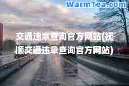 交通违章查询官方网站(抚顺交通违章查询官方网站)