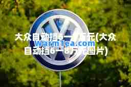 大众自动挡6一8万元(大众自动挡6一8万元图片)