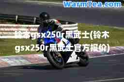 铃木gsx250r黑武士(铃木gsx250r黑武士官方报价)