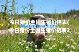 今日猪价全国生猪价格表(今日猪价全国生猪价格表2023.3.12日猪价油)