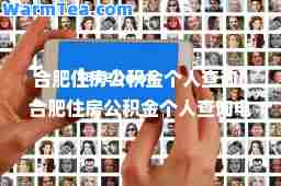 肥住房公积金个人查询(肥住房公积金个人查询电话)