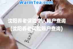 沈阳养老保险个人帐户查询(沈阳养老保险账户查询)