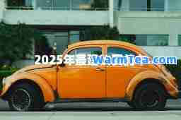 2025年最建议买的车