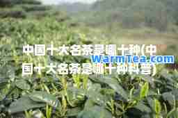 中国十大名茶是哪十种(中国十大名茶是哪十种科普)