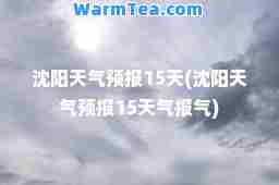 沈阳天气预报15天(沈阳天气预报15天气报气)