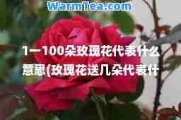 1一100朵玫瑰花代表什么意思(玫瑰花送几朵代表什么)