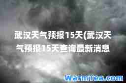 武汉天气预报15天(武汉天气预报15天查询消息恩施咸丰天气预报)
