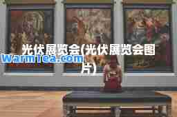 光伏展览会(光伏展览会图片)
