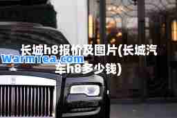 长城h8报价及图片(长城汽车h8多少钱)