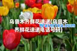 鲜花速递(鲜花速递电话号码)