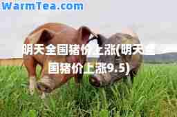 明天全国猪价上涨(明天全国猪价上涨9.5)