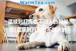 温顺到打死也不咬人的狗排名(温顺到打死也不咬人的狗排名梗)