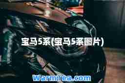 宝马5系(宝马5系图片)